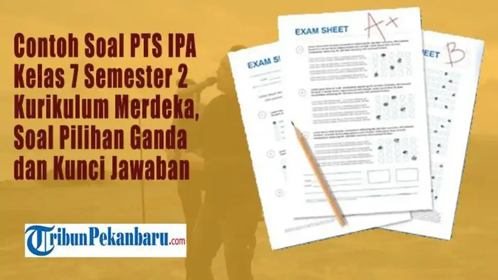 5 Contoh Soal Essay IPA Kelas 7 Semester 2 2026 yang Sering Muncul di Ujian, Wajib Tahu!