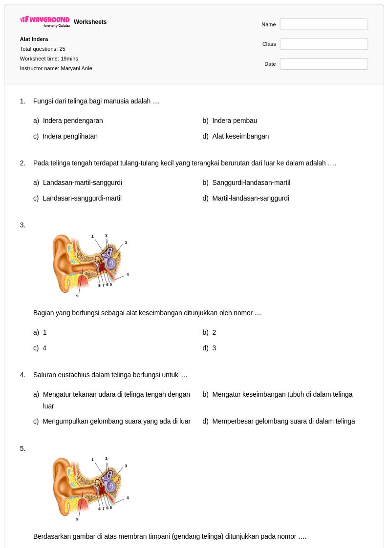5 Fakta Menarik Soal Alat Indera Kelas 4 yang Sering Salah Dipahami Siswa, Wajib Tahu Sebelum Ulangan