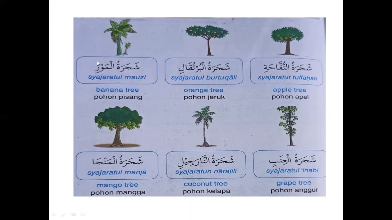 Terbukti Soal Bahasa Arab Kelas 3 Tentang Nama Pohon Ini Bikin Anak Lebih Pintar